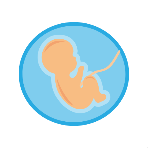 Mastering Early Development