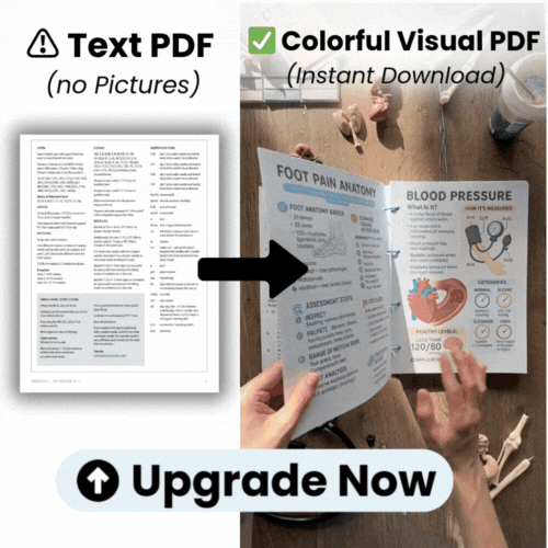 Upgrade To Our Visual Notes Bundle (One Time Offer)